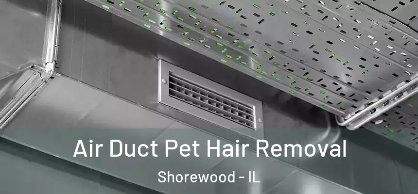 Air Duct Pet Hair Removal Shorewood - IL