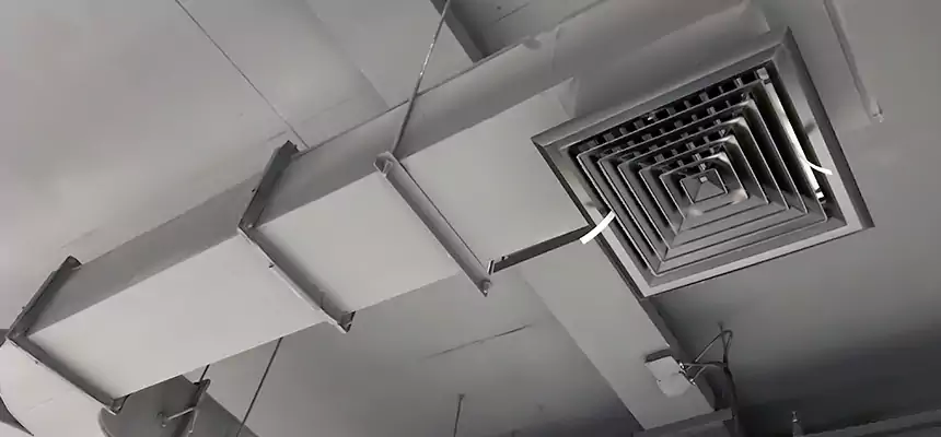 Restorative Allergy Relief Vent Cleaning – Coil, Blower & Housing Detail in Shorewood