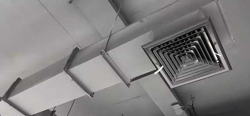 Our Rodent Droppings In Vents Services in Shorewood, IL