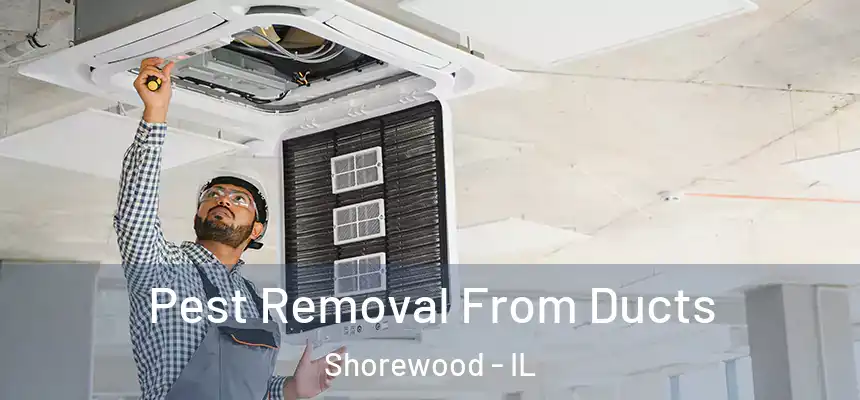 Pest Removal From Ducts Shorewood - IL