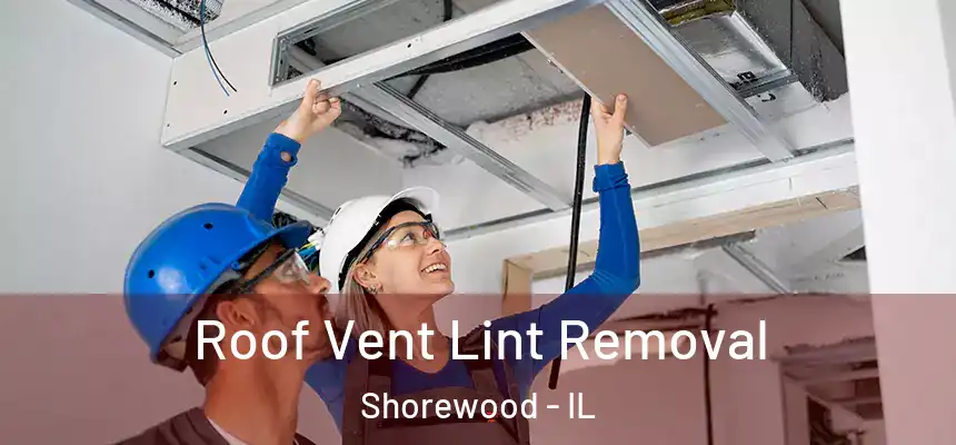  Roof Vent Lint Removal Shorewood - IL